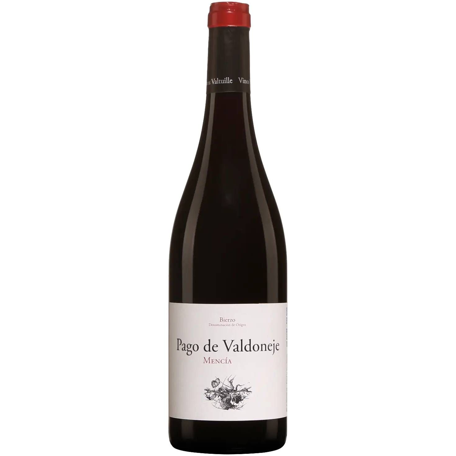 2023 Vinos Valtuille Pago de Valdoneje