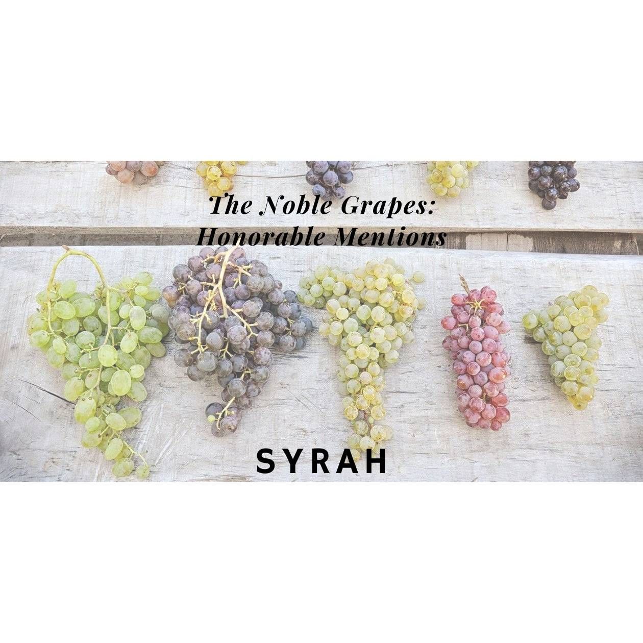 02/17/26 Wine Tasting - The Noble Grapes Honorable Mentions: Syrah - 6PM