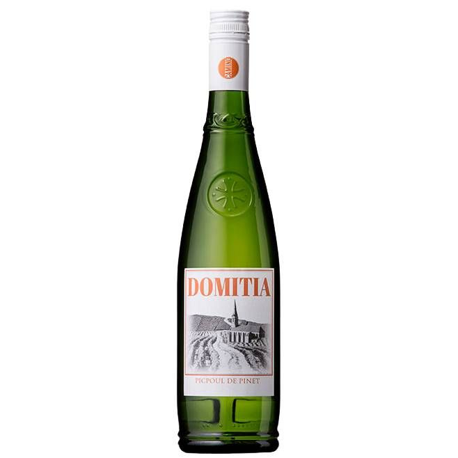 2024 Domitia Picpoul de Pinet