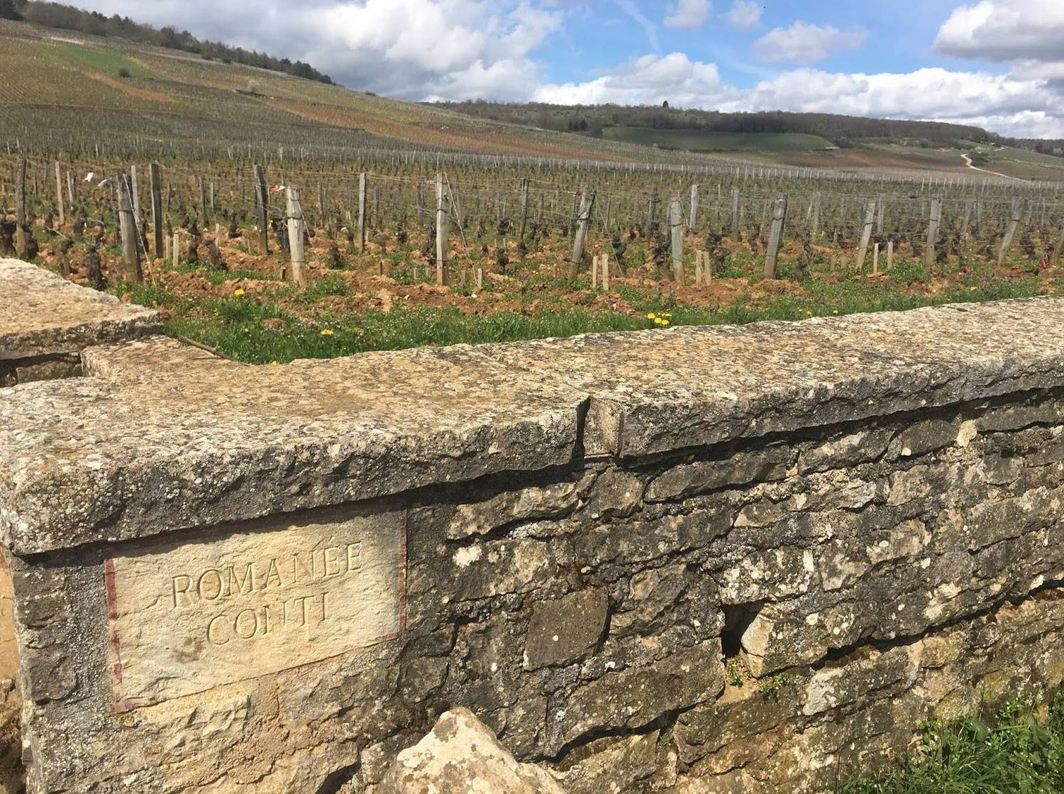06/16/26 Wine Tasting - Summer in France: Burgundy - 6pm