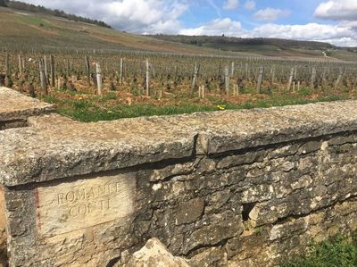 06/16/26 Wine Tasting - Summer in France: Burgundy - 6pm