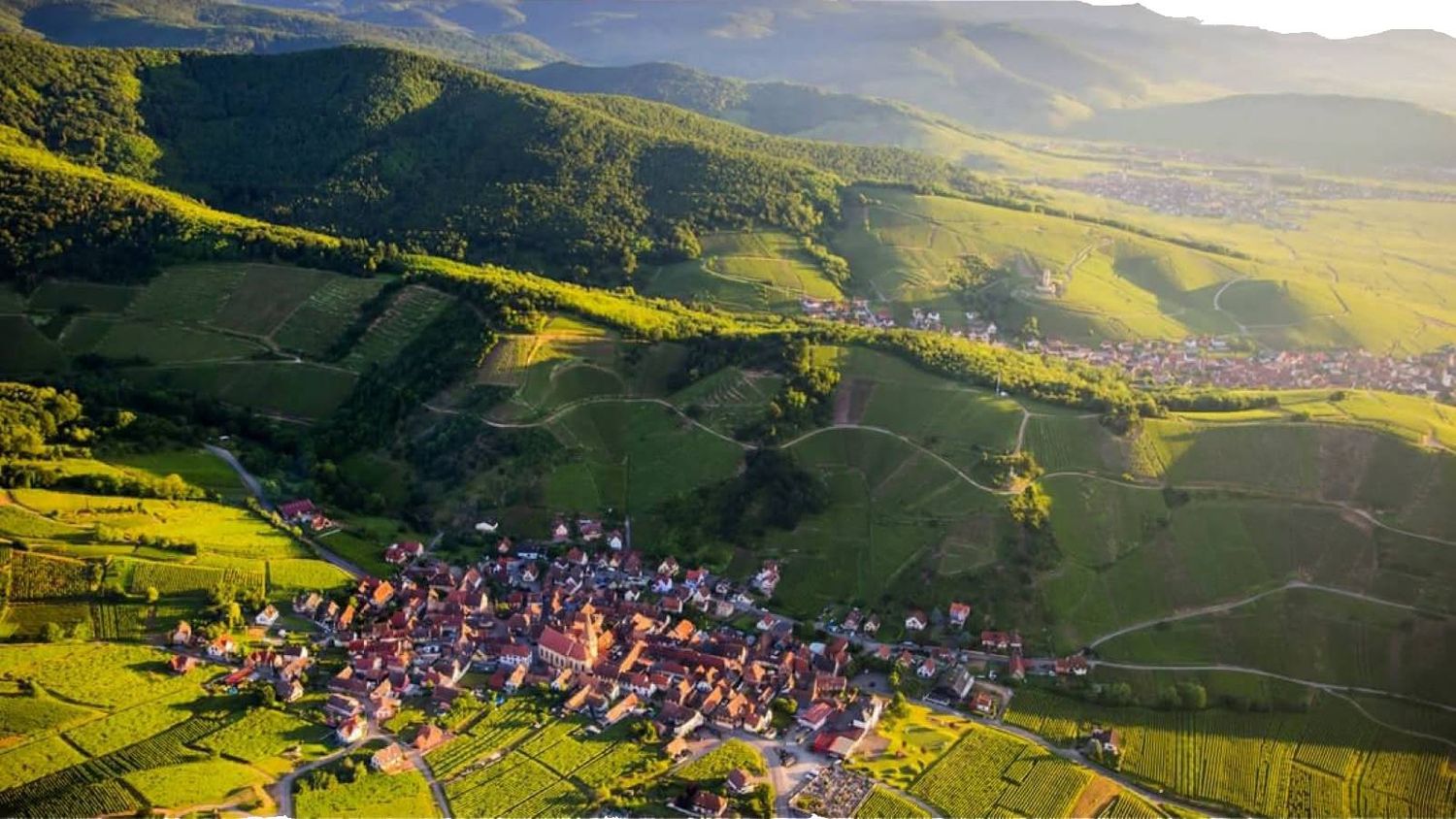 06/09/26 Wine Tasting - Summer in France: Alsace - 6pm