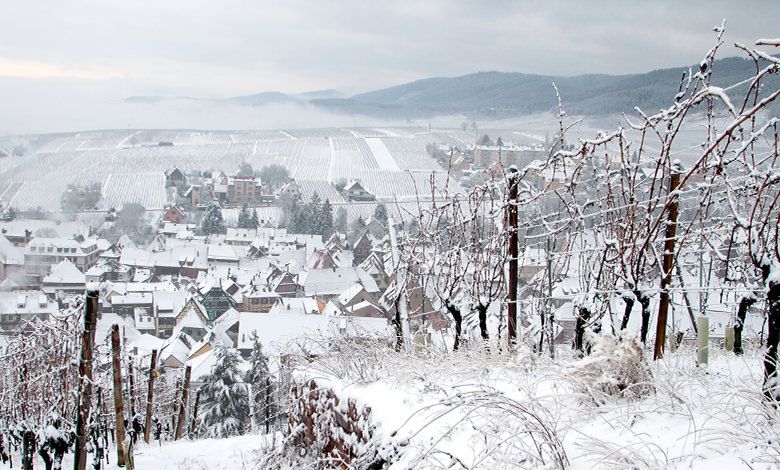 08/25/26 Wine Tasting - Summer in France: Jura &amp; Savoie - 6pm