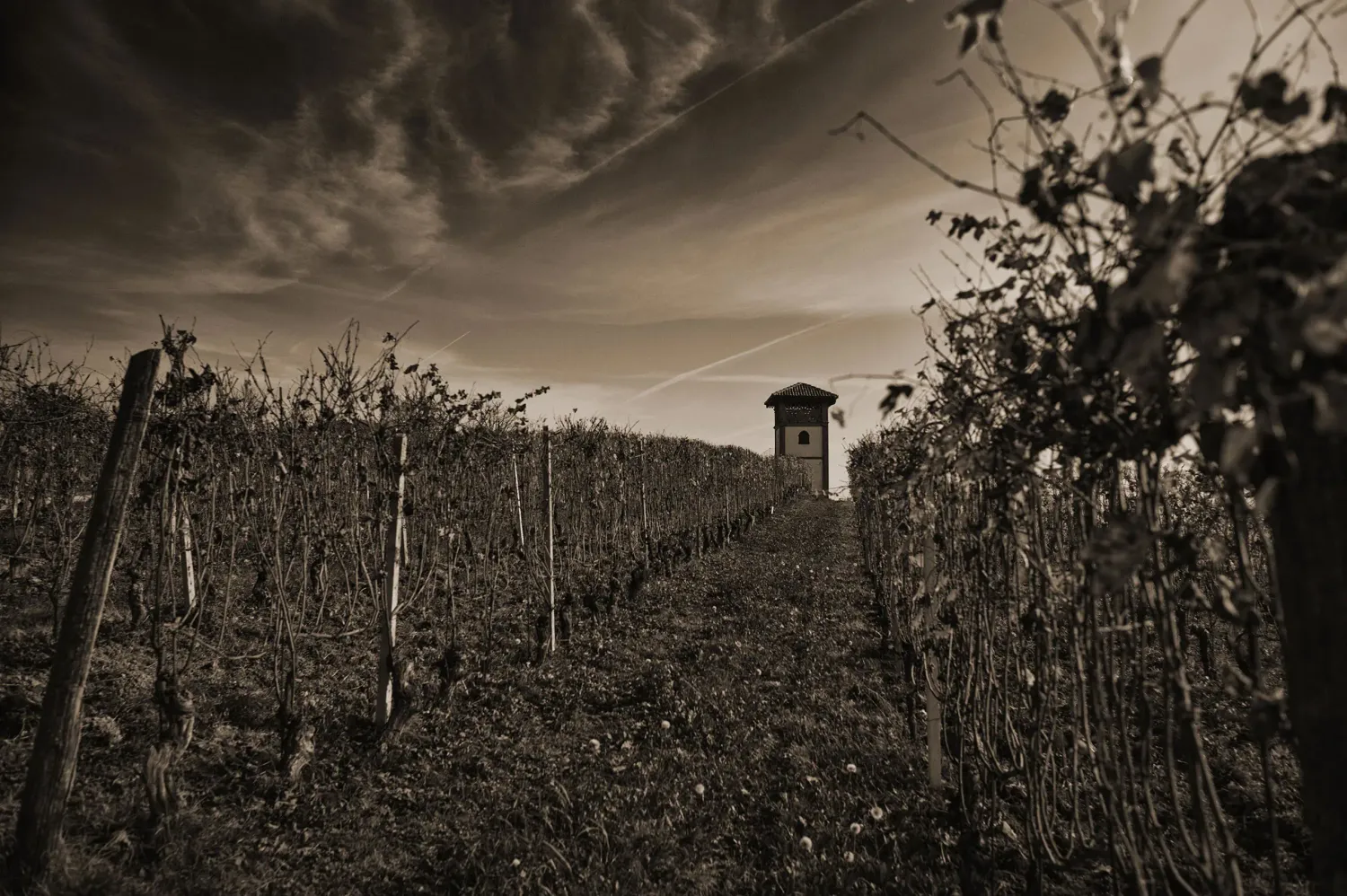 09/01/26 Wine Tasting - Farmers First: Italy - 6pm