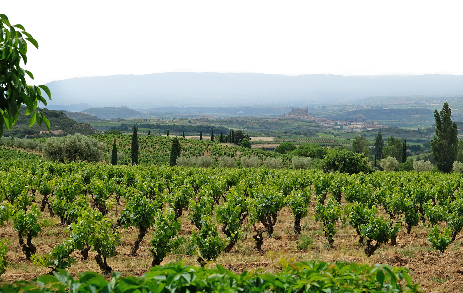 09/22/26 Wine Tasting - Farmers First: Spain &amp; Portugal - 6pm