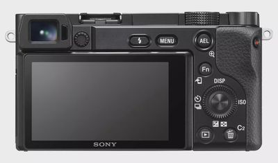 Sony a6100  w/16-50mm OSS Lens