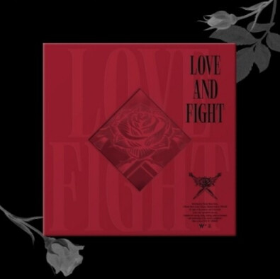 RAVI - LOVE + FIGHT