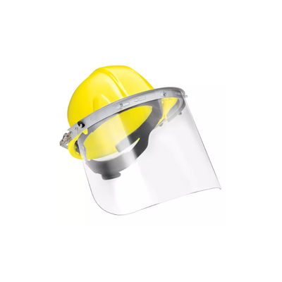 Face Protection