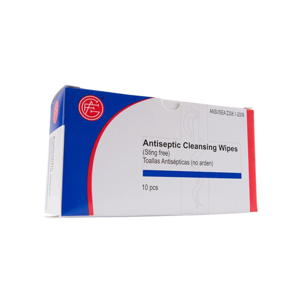 Everyday Antiseptic Wipes, 10ct-DNR, Size: 10 PC