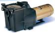 Hayward SUPER PUMP-AOS- All HP sizes
