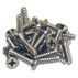 STAINLESS STEEL SCREW KIT (X18) FOR WIDE MOUTH SKIMMER