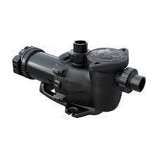 PUMP-1.65 HP MAXFLO XE VSP