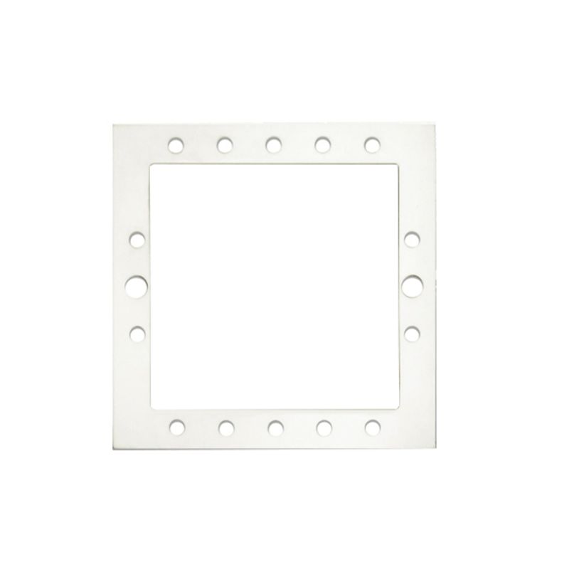 GASKET FOR STANDARD SKIMMER (X2)
