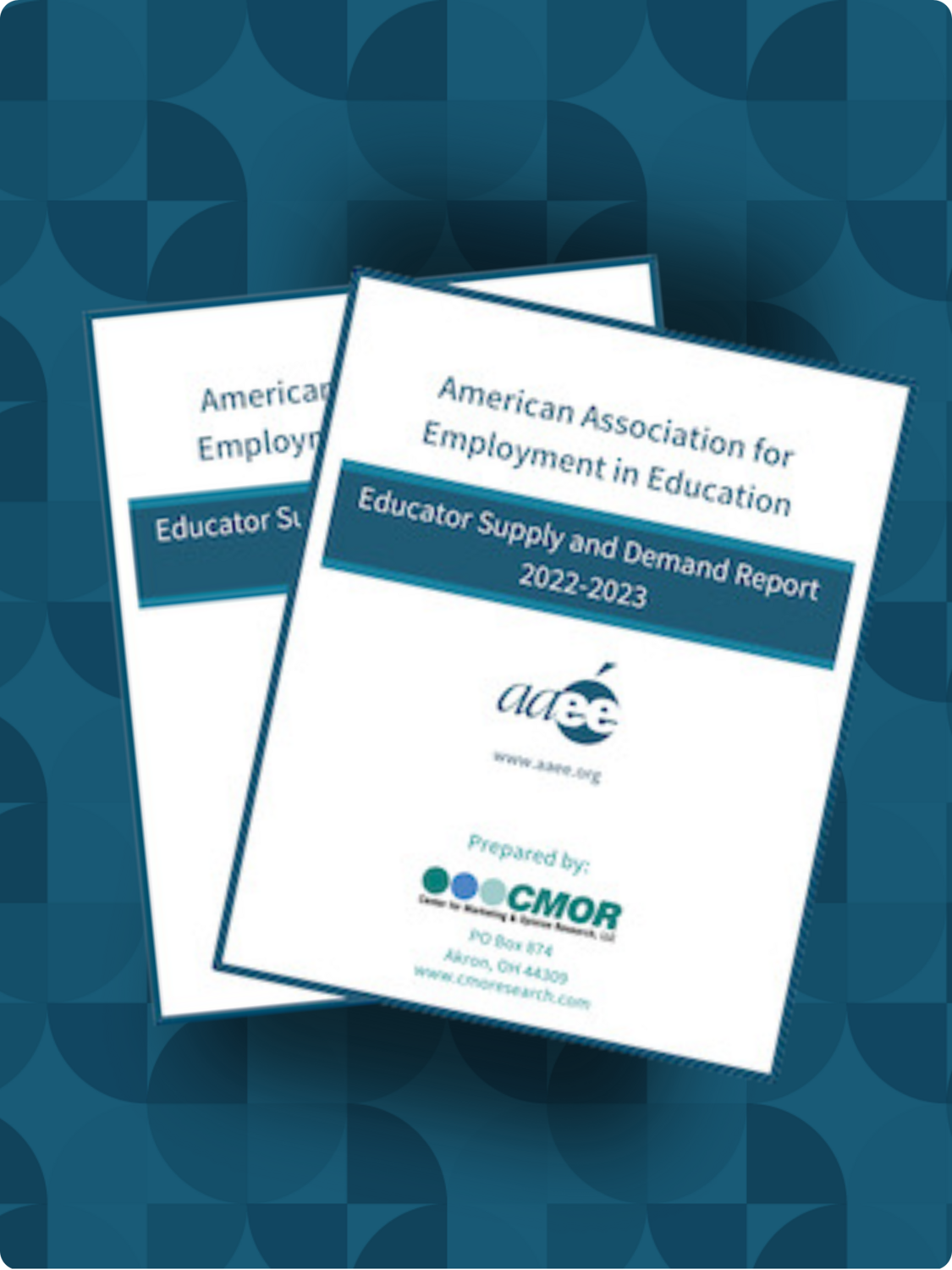 PRINT VERSION: 2022-2023 Educator Supply & Demand Report (Non-Member)