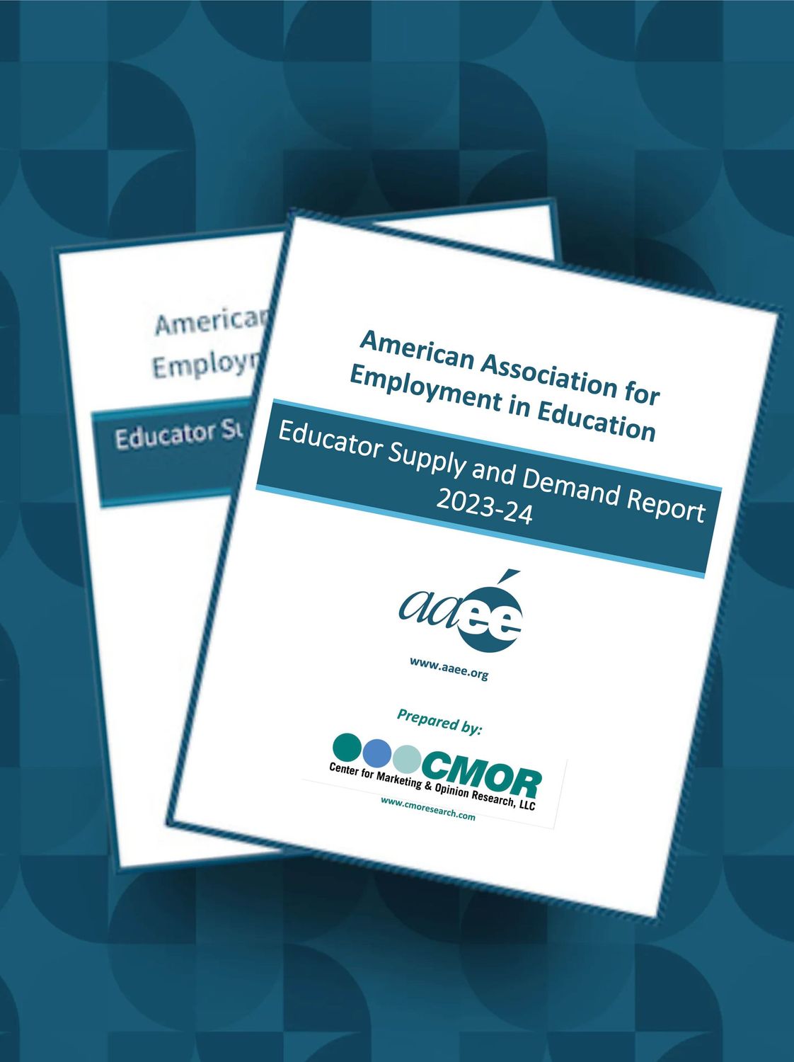 DIGITAL VERSION: 2023-2024 Educator Supply & Demand Report (Individual Member)