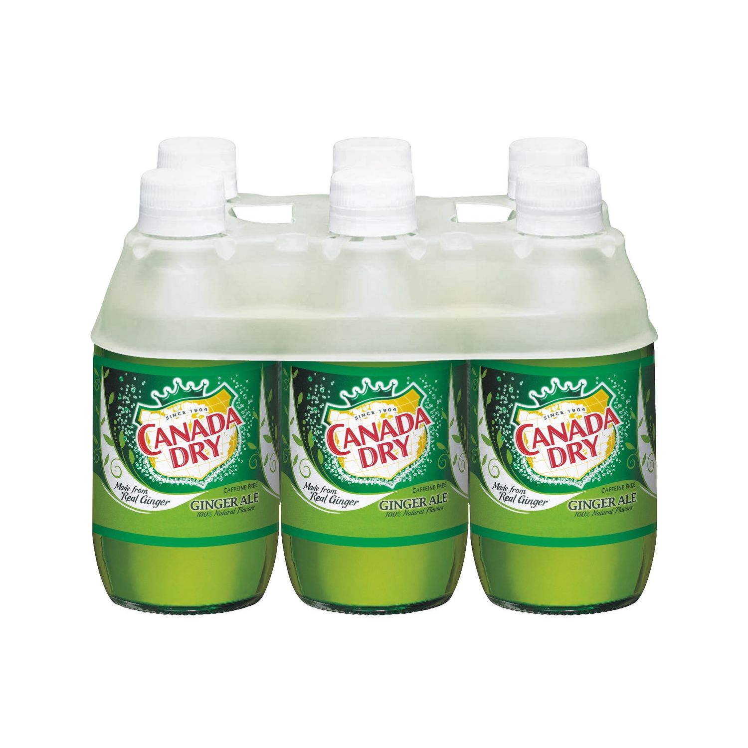 CANADA DRY GINGER ALE 10Z 6PK