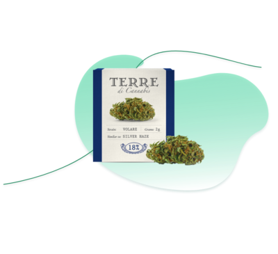 Flores CBD