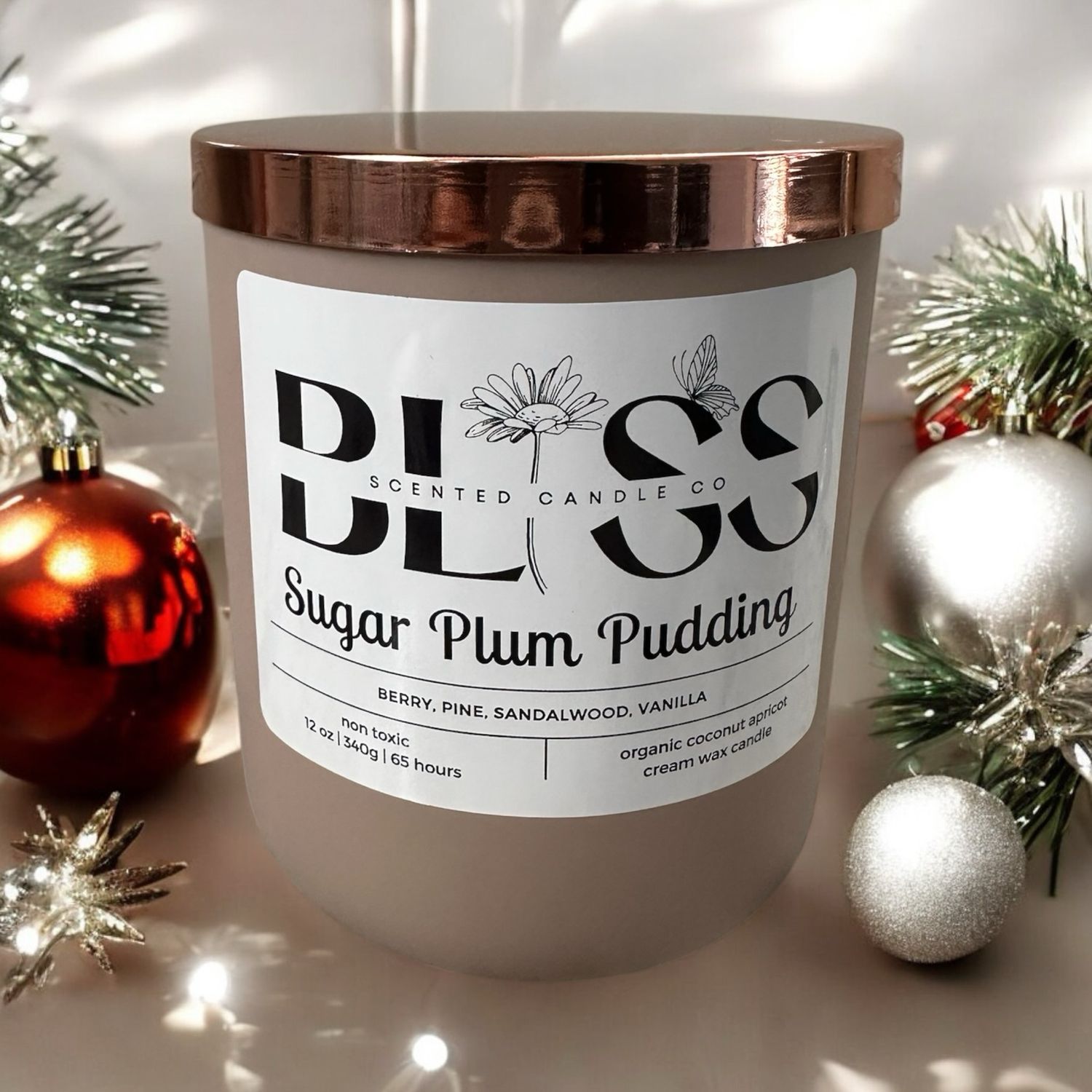 12oz Sugar Plum Pudding