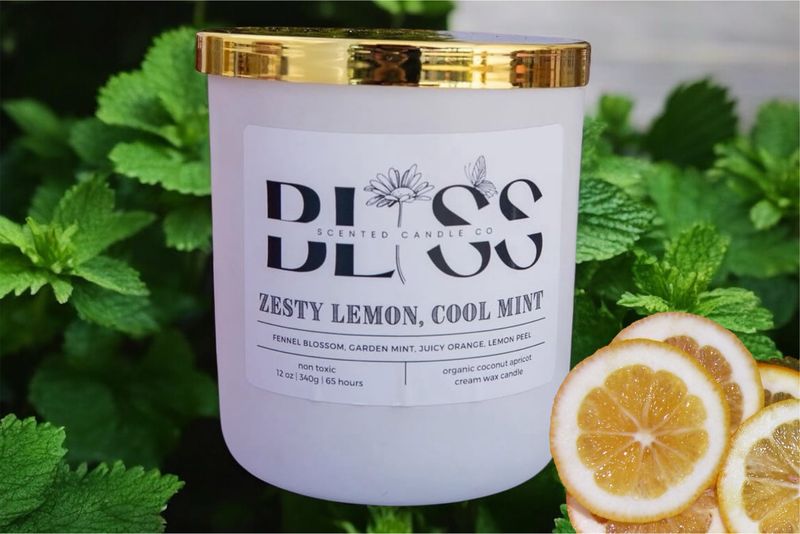 12oz Zesty Lemon, Cool Mint