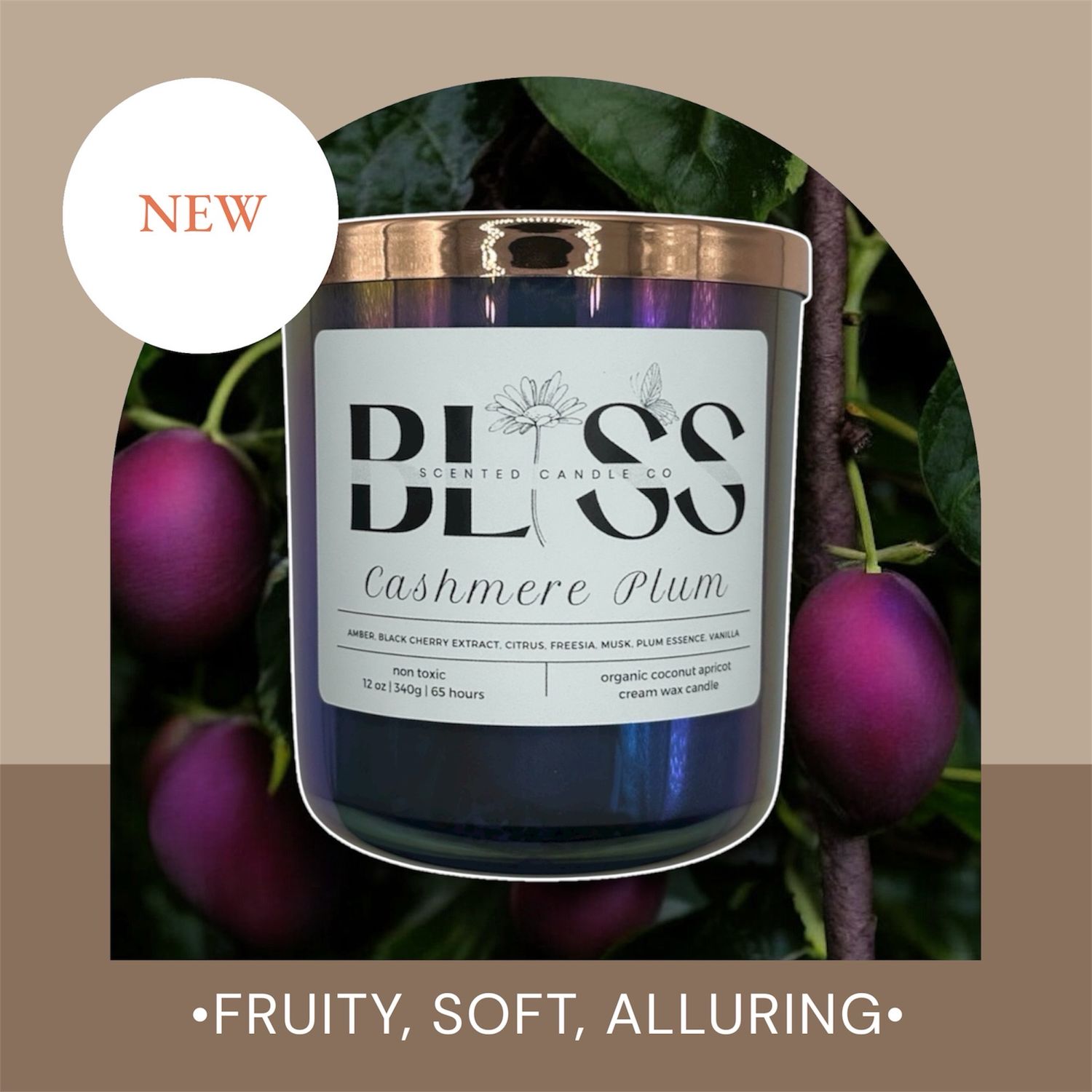 Cashmere Plum