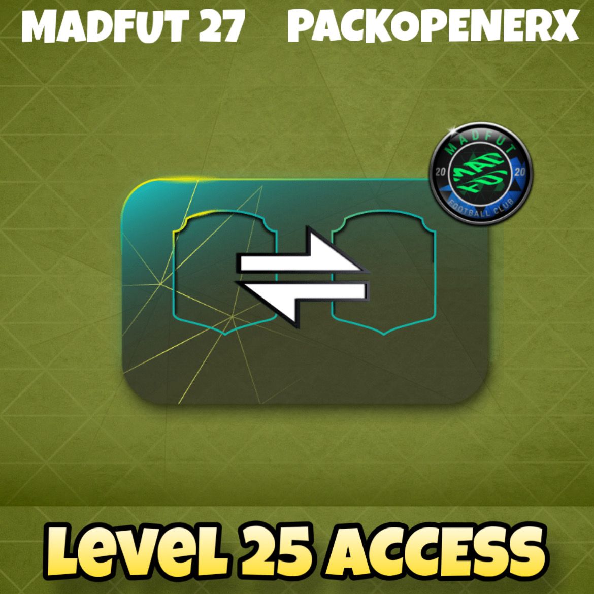 LEVEL 25 ACCESS - MF27 LEVEL 25 ACCESS - MF27
