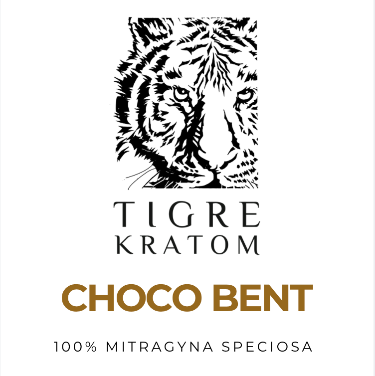 Chocolate Bent