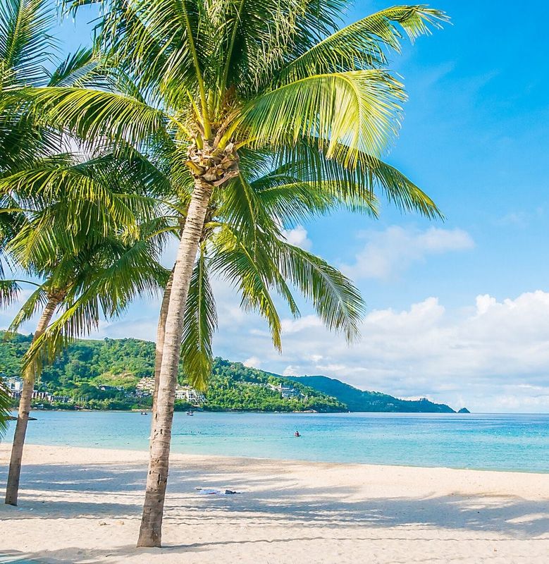 JAMAICA Reset Retreat: December 14-18, 2025