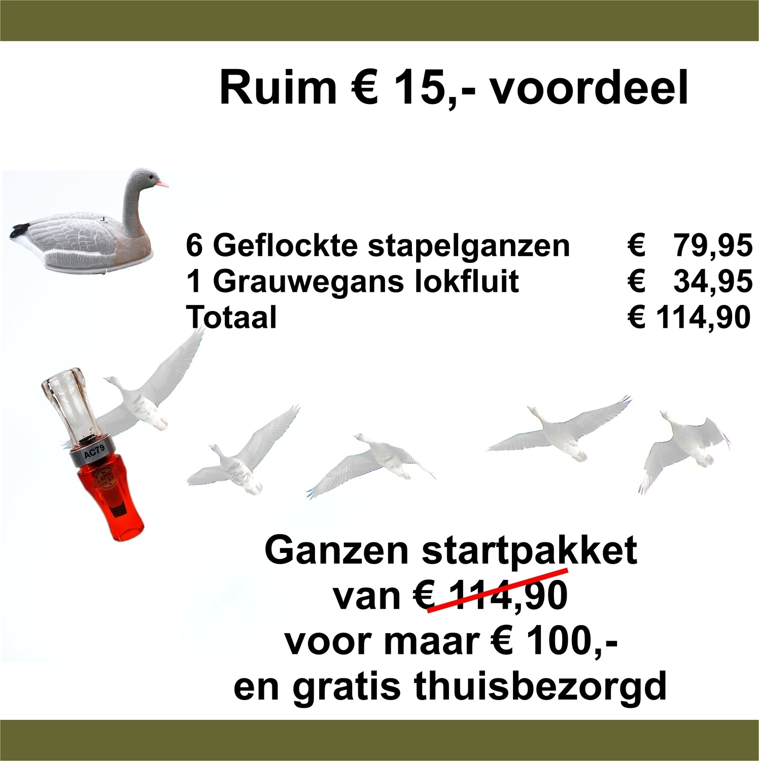 Ganzen startpakket grauwe gans