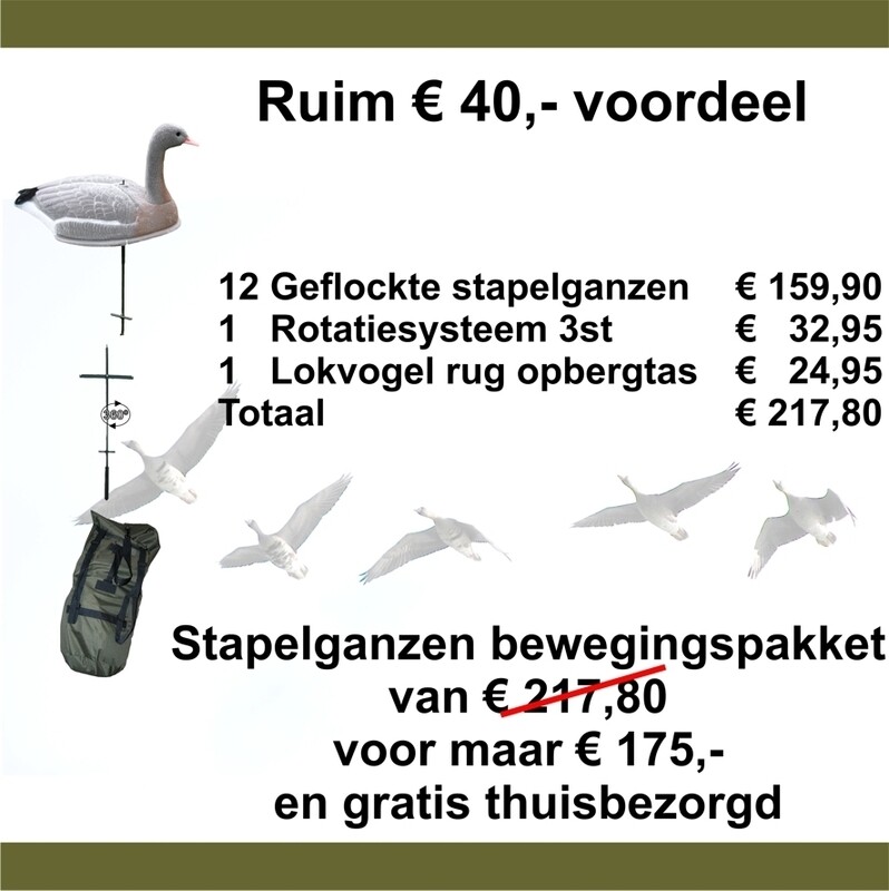 Ganzen bewegingspakket