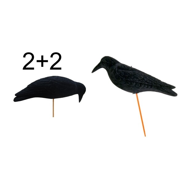 Lokvogel kraai magnum geflockt &quot;2 Waggle + 2 feeding Waggle&quot; 50cm
