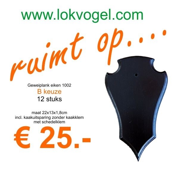 Gewei/ reeplank eiken - B keus - maat 22x13x1,8cm incl. dubbele kaakuitsparing ZONDER kaakklem 12 stuks excl. schedelklem