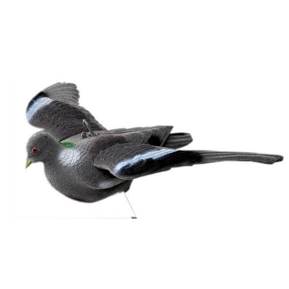 Lokvogel vliegende/invallende  duif geflockt vaste vleugels