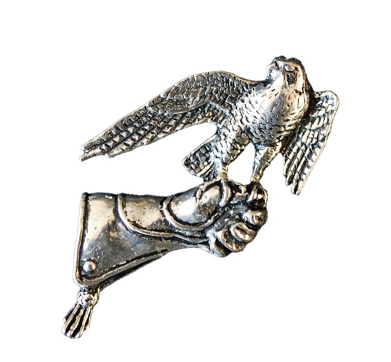 Pin valk op handschoen