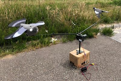 Lokvogel carrousel met snelheid regeling
