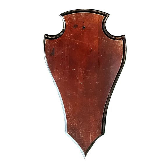 Geweiplank eiken bruin maat 40x20x2,2cm incl. kaakuitsparing B-keus