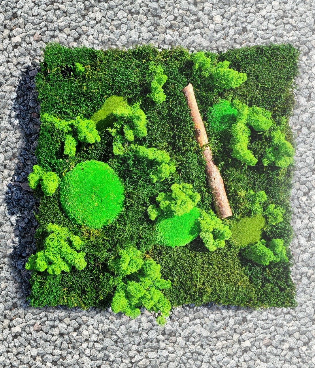 Canor Moosbild 60x60x30 cm