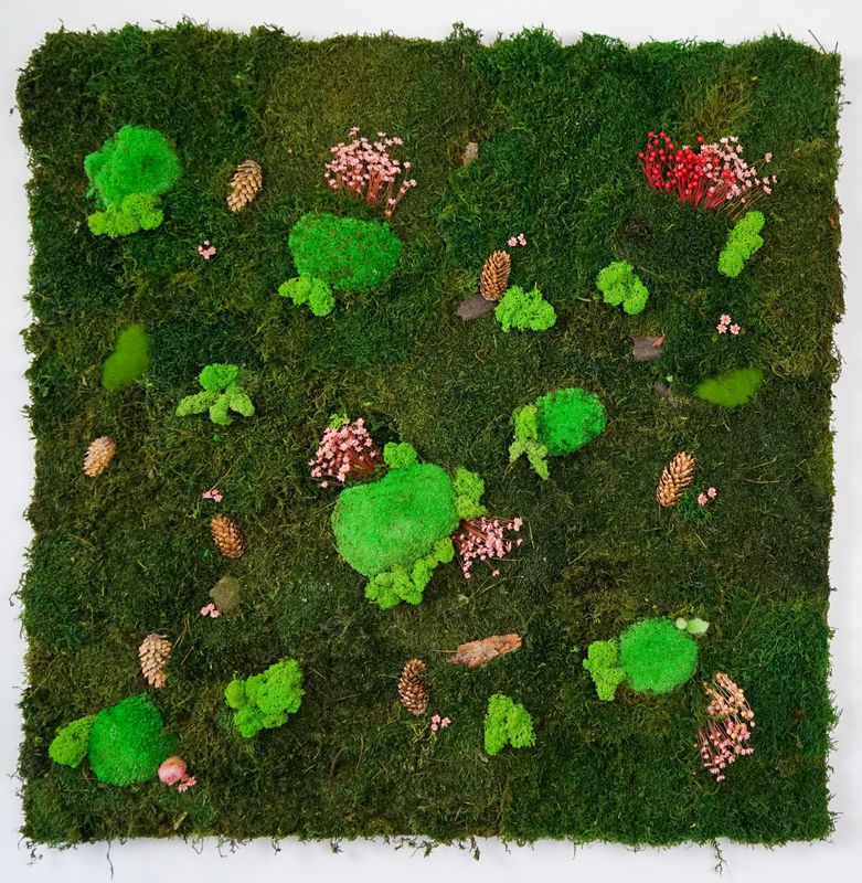 Canor Moosbild 100x50x30 cm