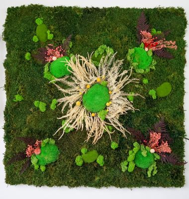 Canor Moosbild 100x100x30 cm