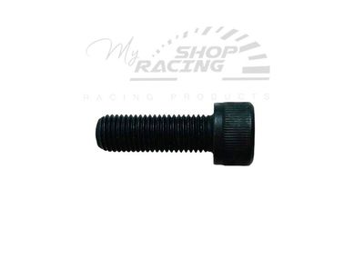 SPECIAL SCREW 10 x 125 mm 12,9