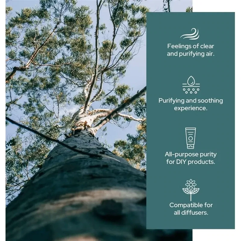 Eucalyptus Essential Oil | Therapeutic Grade 1 oz