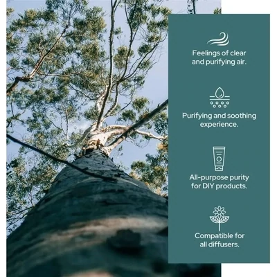 Eucalyptus Essential Oil | Therapeutic Grade 1 oz