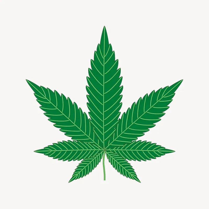 Devour Gummy Edibles 1500mg