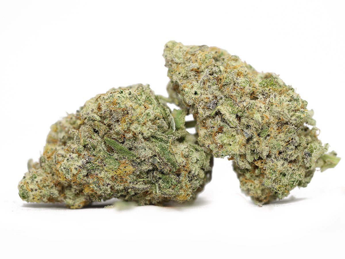 Blue Guava OZ Deal