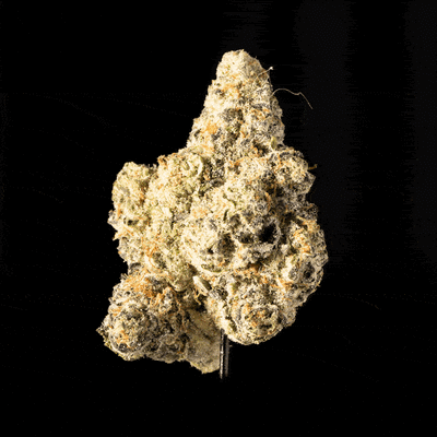 Pink Lemonade| Indica Hybrid  |