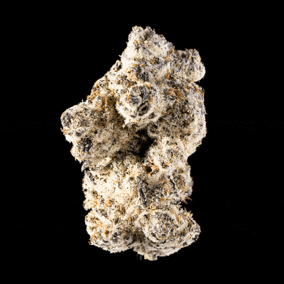 Devil’s Mistress | 50:50 Hybrid |