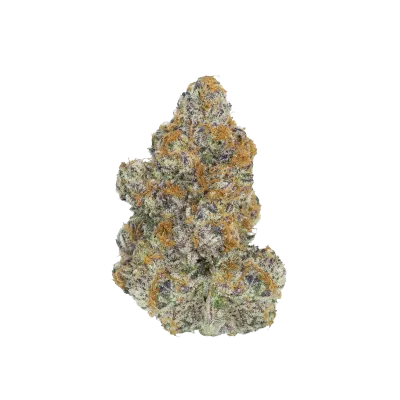 ​Ice Cream Sherbet