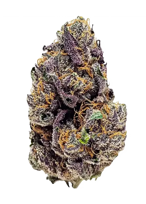 Monster Maker | hybrid