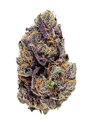 Monster Maker | hybrid