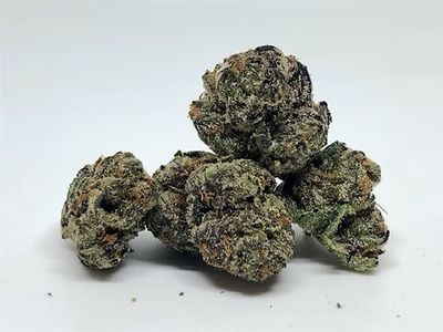 Runtz | Oz Deal