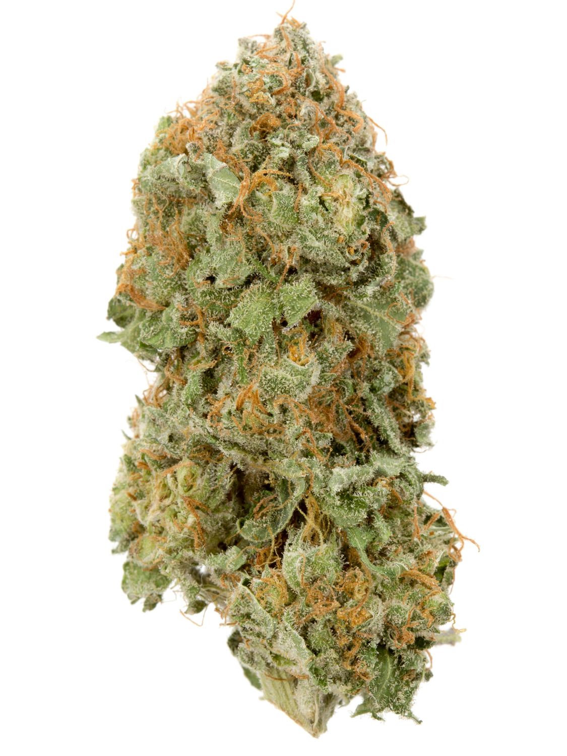 Northeast OG